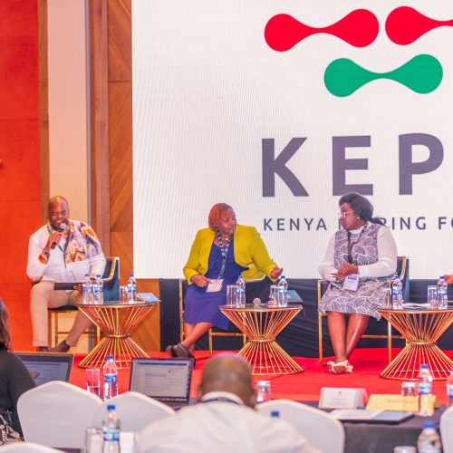 WhatsApp Image 2024-08-16 at 17.00.37